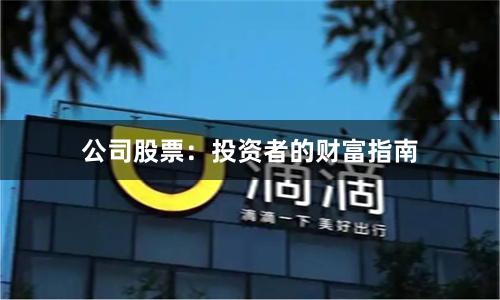 公司股票：投资者的财富指南